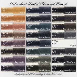 Colorchart Derwent Tinted Charcoal Pencils